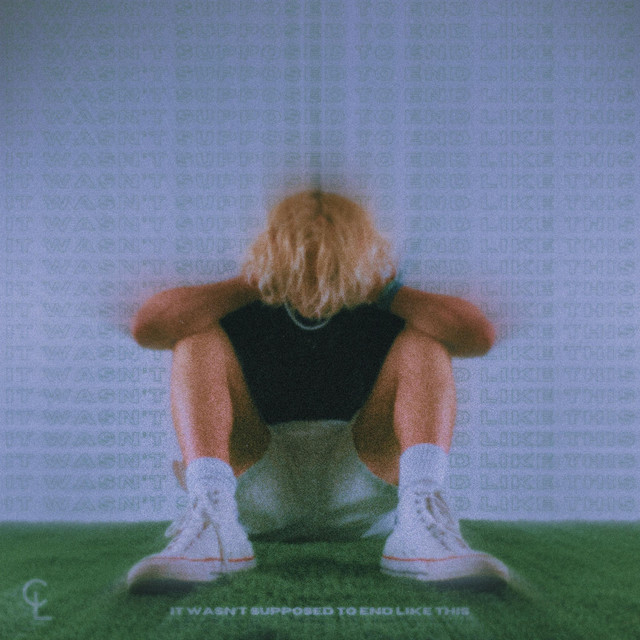 it wasn't supposed to end like this cover art