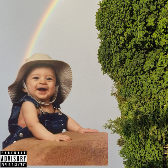 Lofi Juice cover art