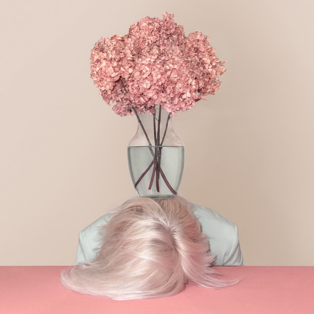 Sucker cover art
