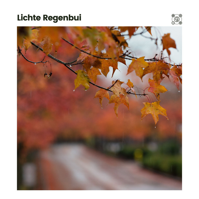Lichte Regenbui cover art