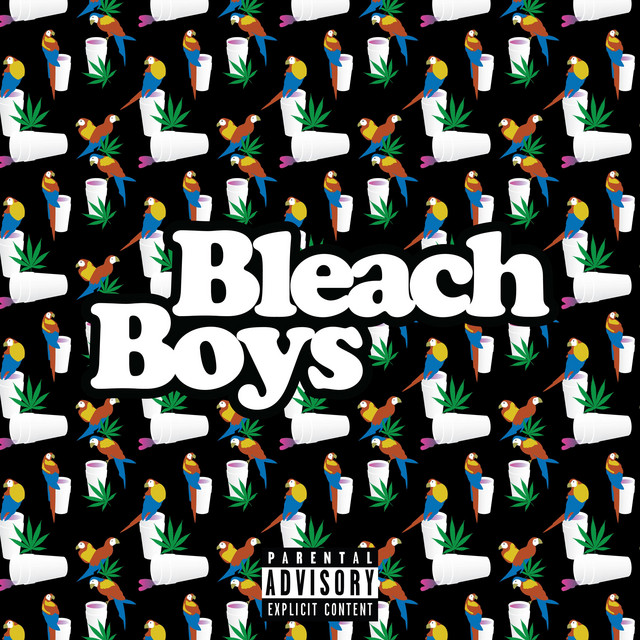 Bleach Boys cover art