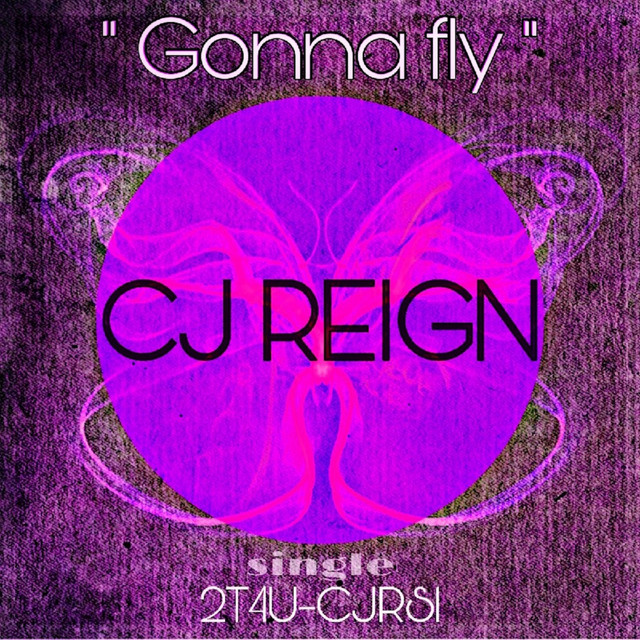 Gonna Fly cover art