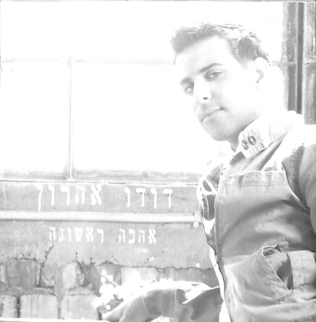 אהבה ראשונה cover art