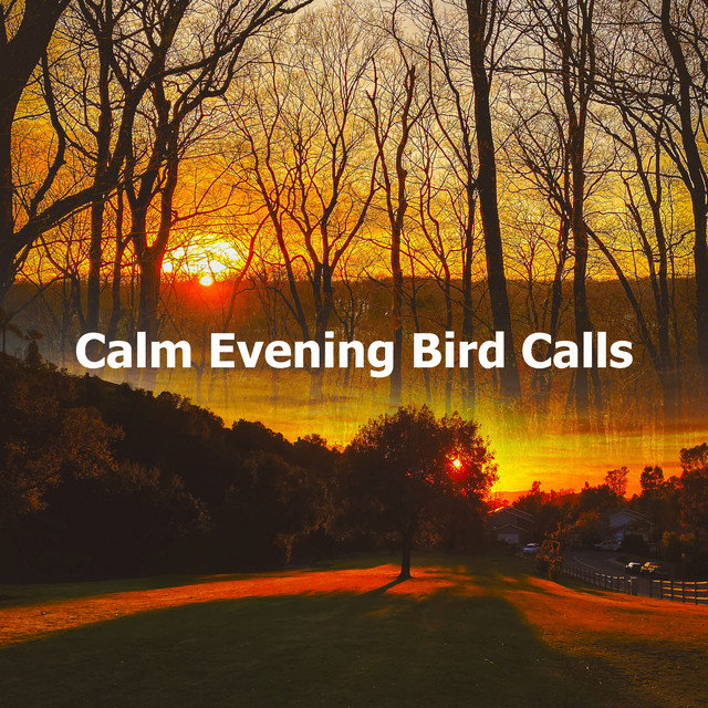 Calm Evening Bird Calls - Album by Pro Sound Effects Library | Spotify