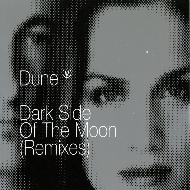 Cover du titre Dark Side Of The Moon - DV Remix