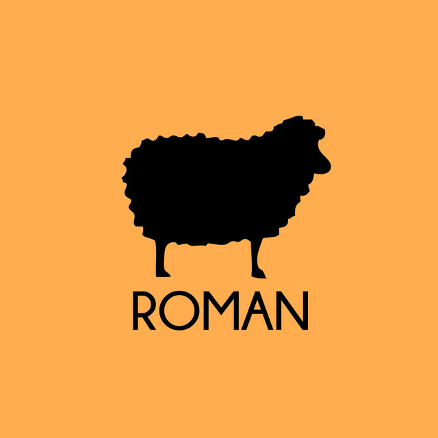 Roman cover art