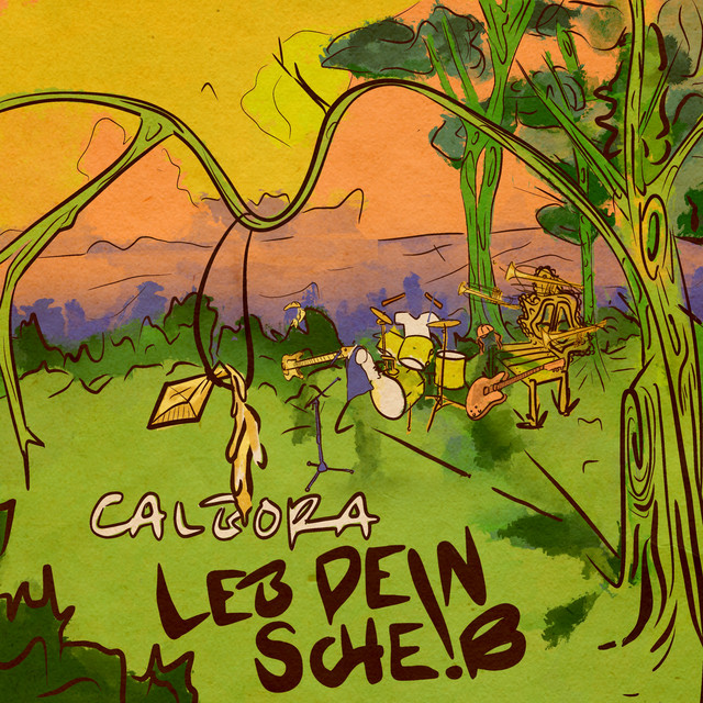 album image