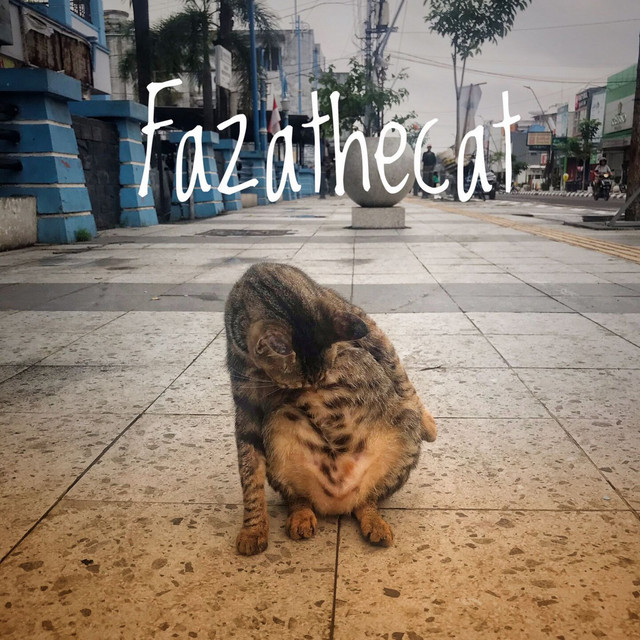 Cat Bossa cover art