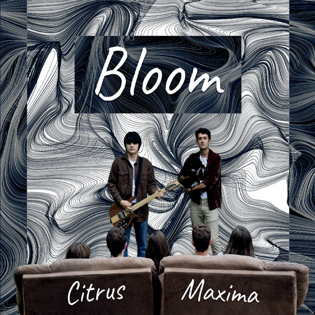 Bloom cover art