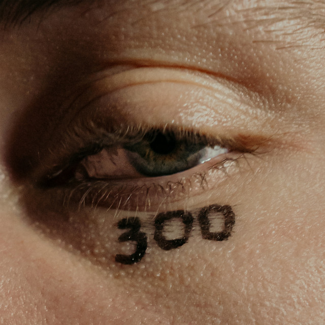 300 cover art