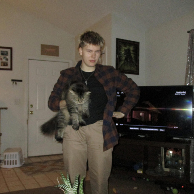 tell cover art