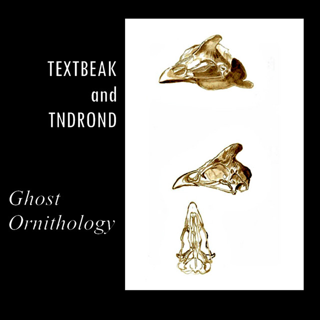 Ghost Ornithology cover art