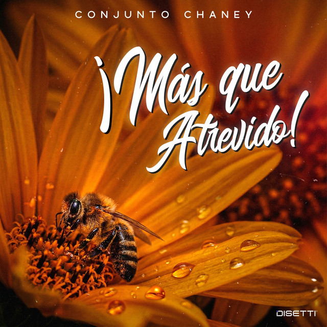 ¡Más Que Atrevido! cover
