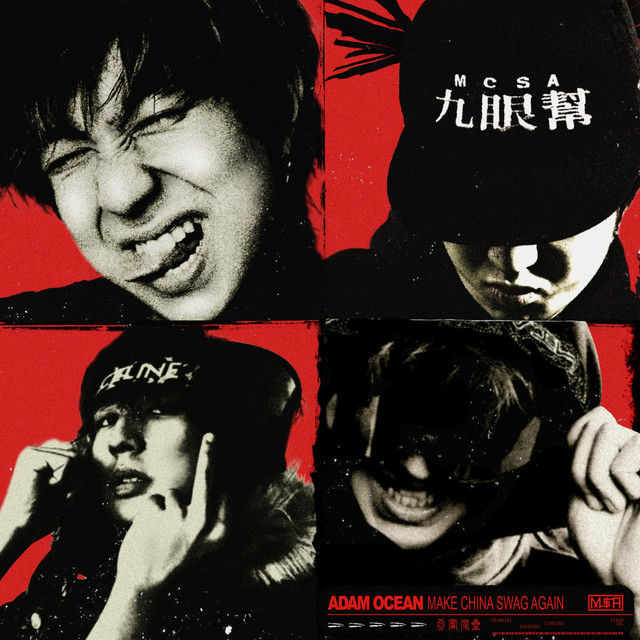 M.C.S.A. cover art