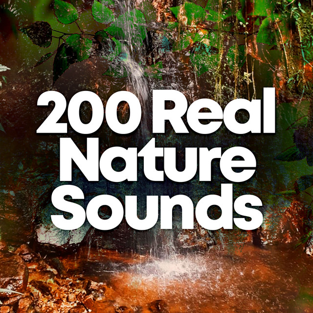 200 Real Nature Sounds ! ! ! ! - Album by Sleep Sounds of Nature | Spotify