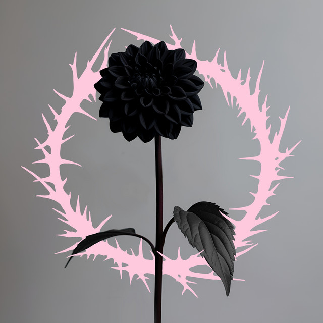 thorn cover art