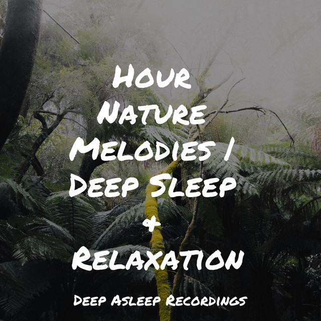 Hour Nature Melodies | Deep Sleep & Relaxation cover art