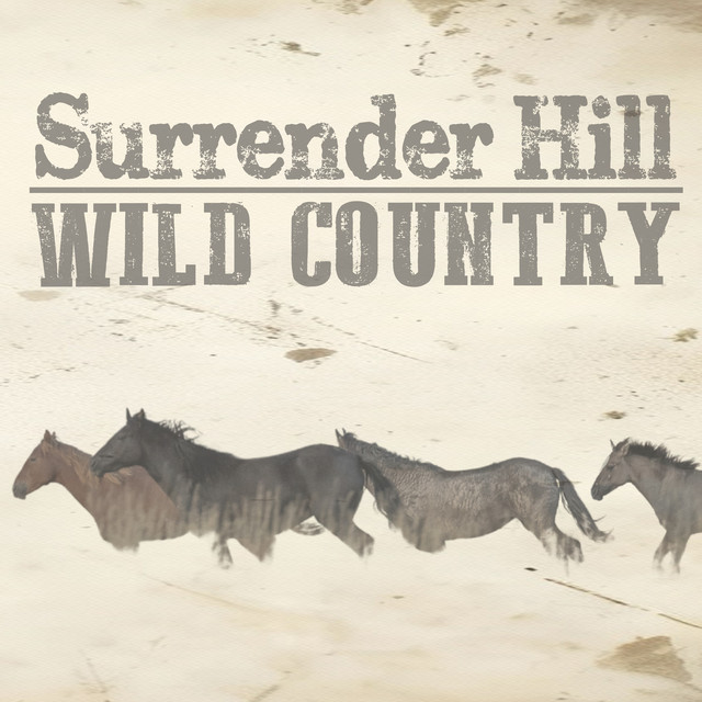 Wild Country