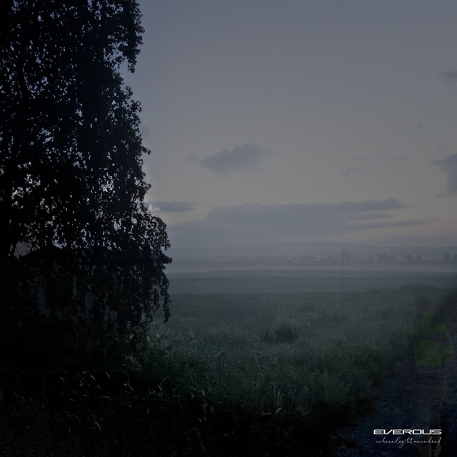 Where Light Once Died cover art