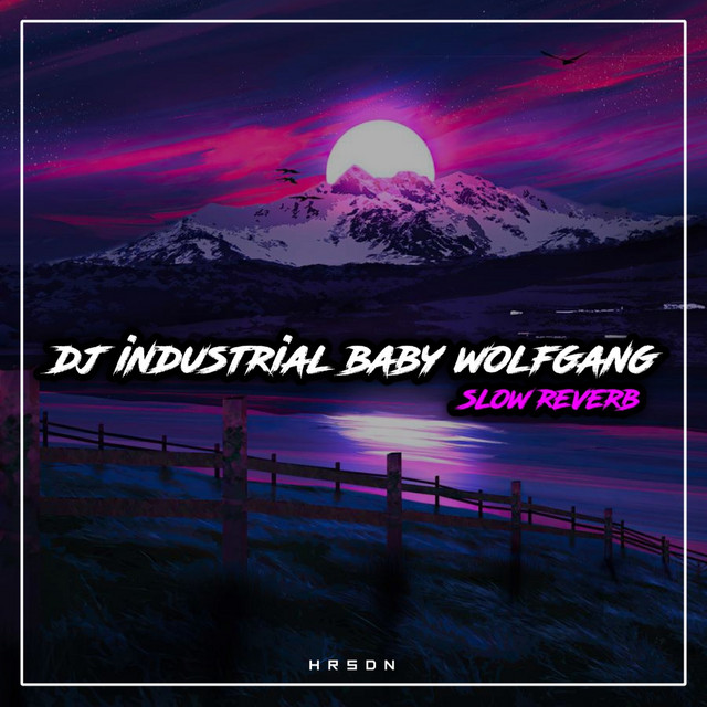 Dj Industrial Baby Wolfgang Slow Reverb