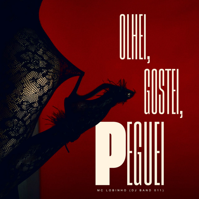 Olhei, Gostei, Peguei