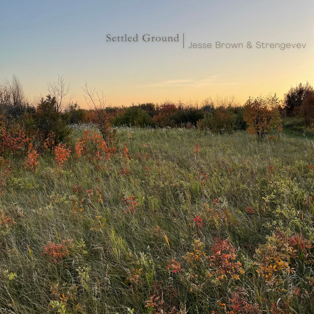 Settled Ground artwork