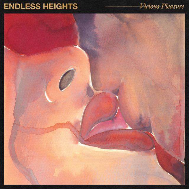 Vicious Pleasure cover art