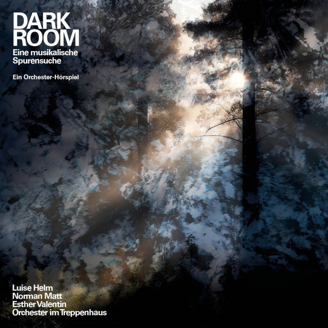 Dark Room: Eine musikalische Spurensuche cover
