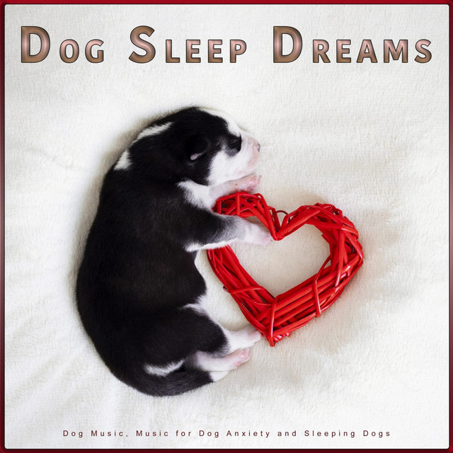 Dog Sleep Dreams: Dog Music, Music for Dog Anxiety and Sleeping Dogs cover art