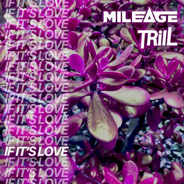 If It's Love