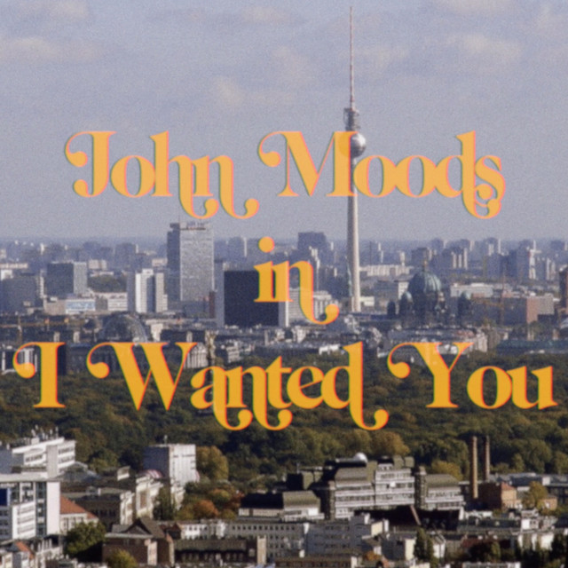 I Wanted You cover