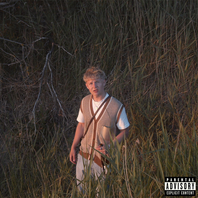Rex shizzy cover art
