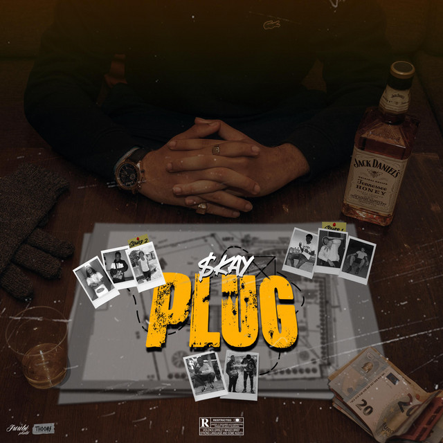 Plug cover art