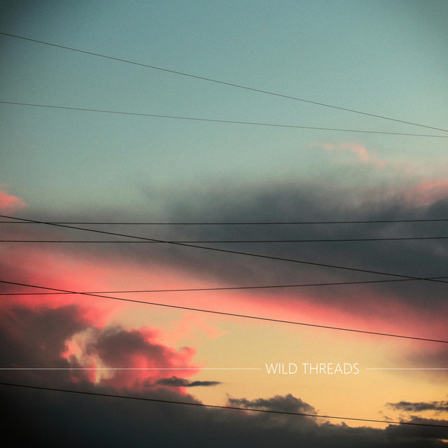 Wild Threads cover art