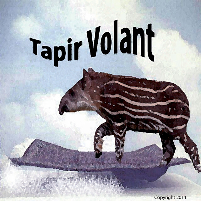TapirVolant cover art