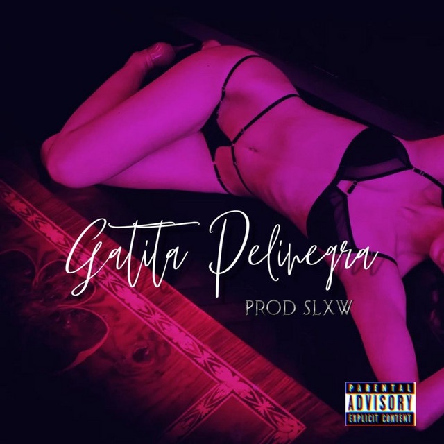 Gatita Pelinegra