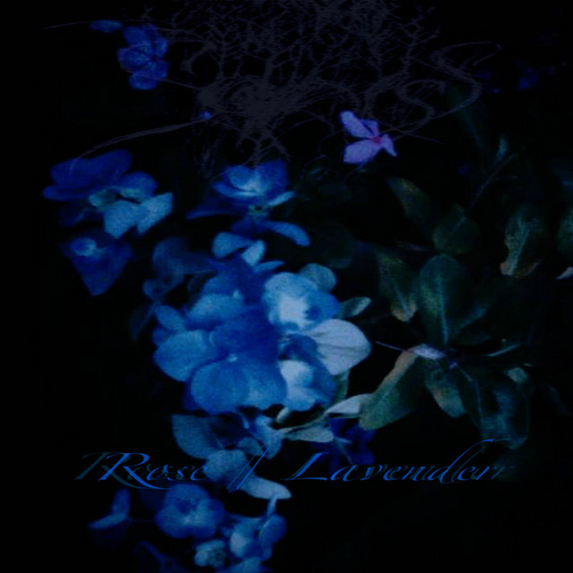 rose / lavender cover art