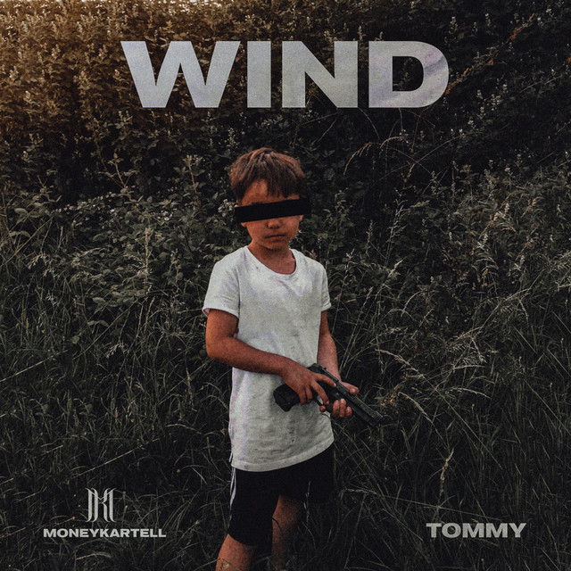 Wind cover art