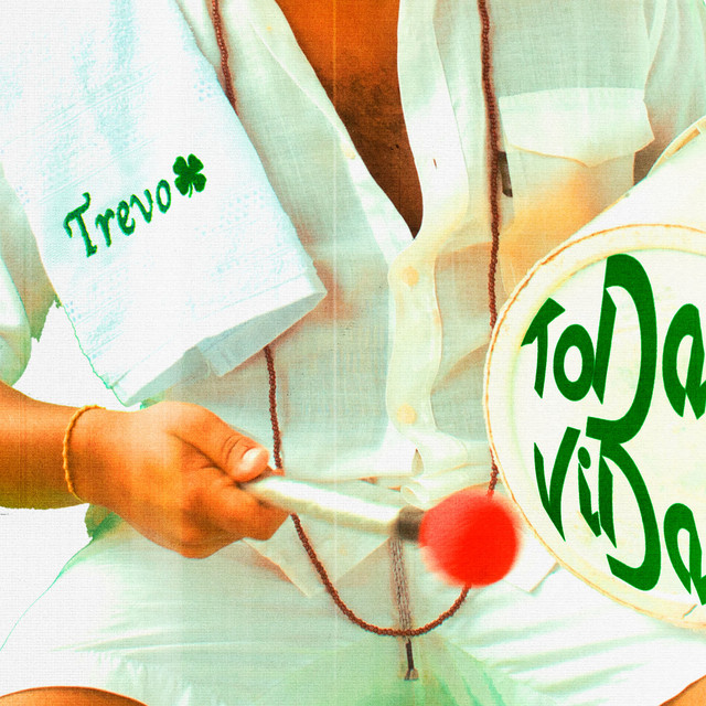 Toda Vida cover art