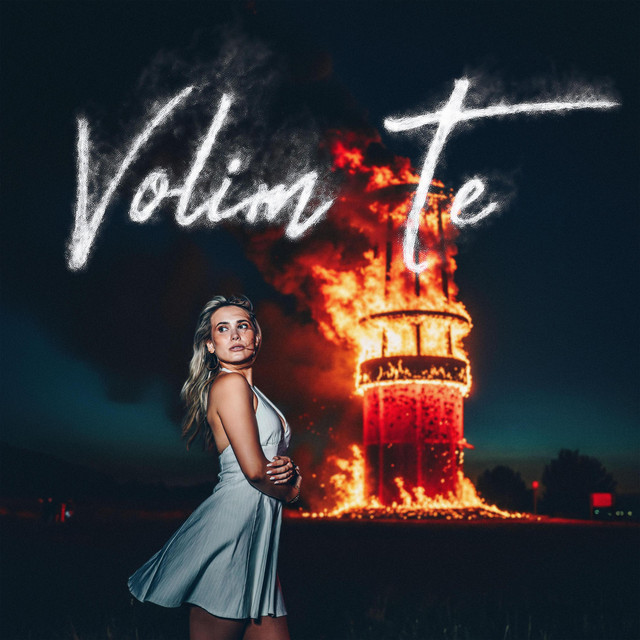 Sag mir (Volim te) cover
