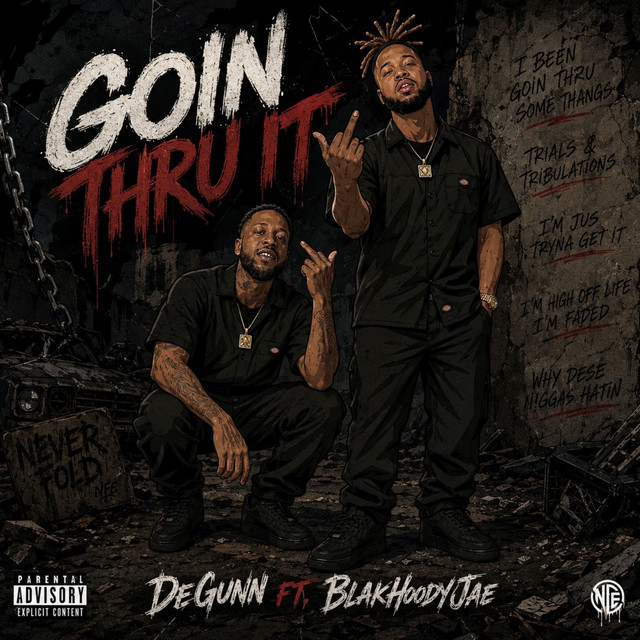 Goin Thru It cover