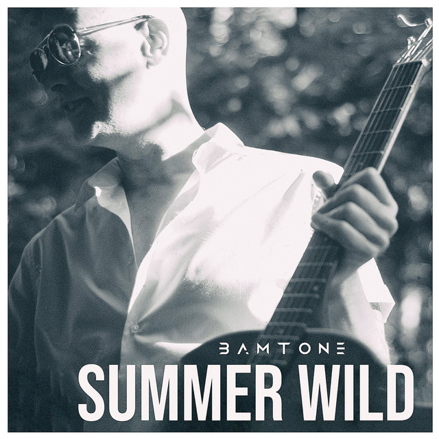 Summer Wild cover art