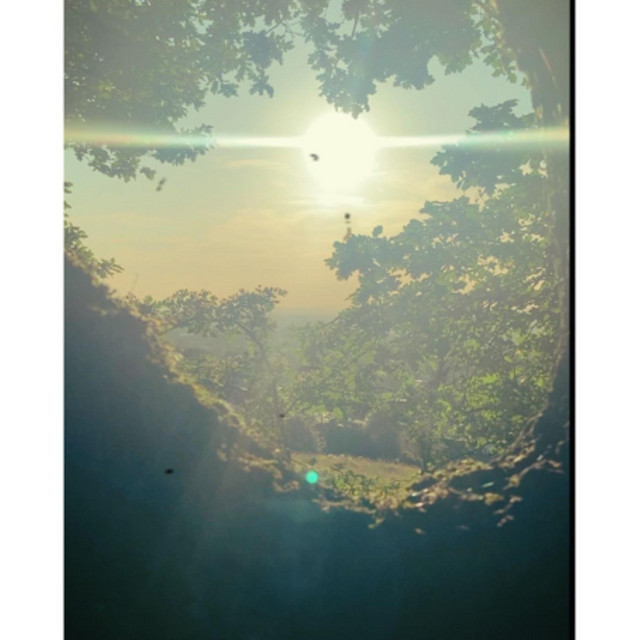Sun King cover