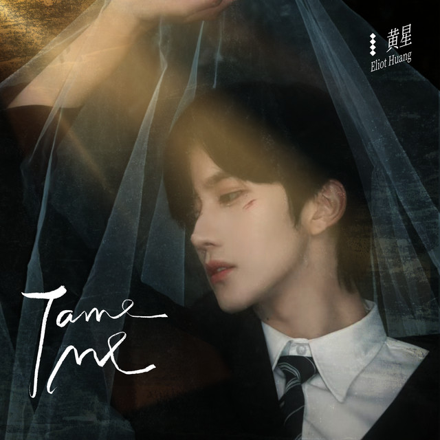 Tame Me cover art