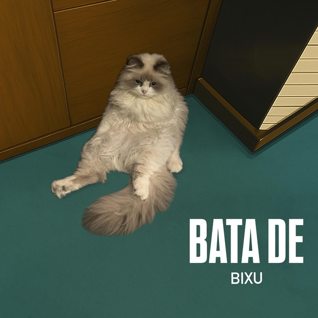 Bata De cover art