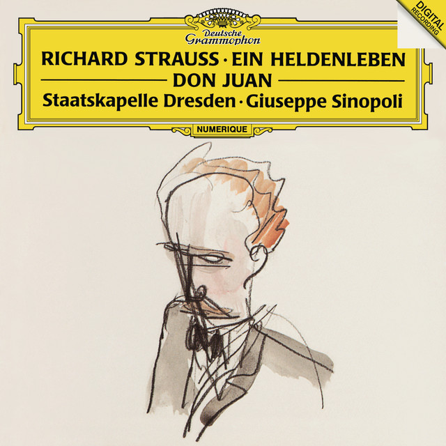 Strauss, R.: Ein Heldenleben, Op.40; Don Juan, Op.20 cover art