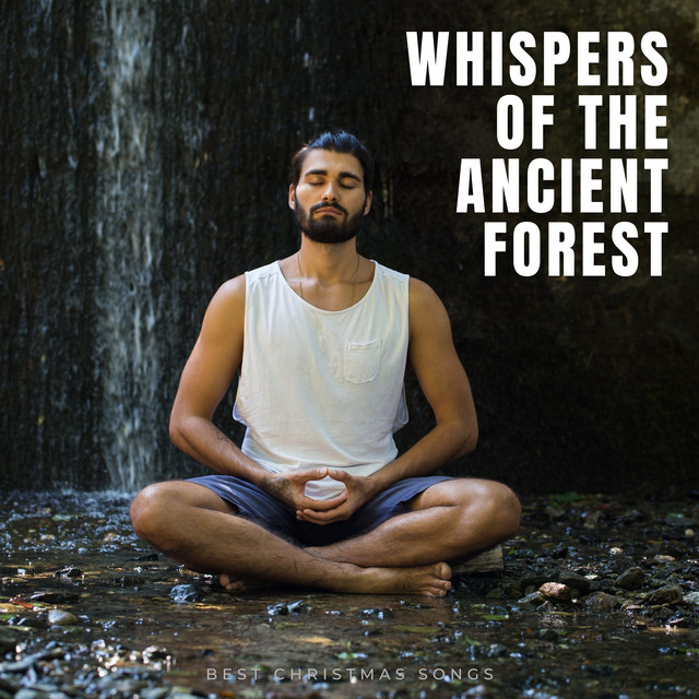 Whispers of the Ancient Forest
