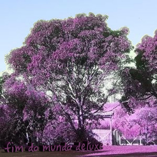 FIM DO MUNDO (Deluxe) cover art