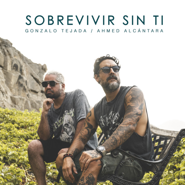 Sobrevivir sin ti