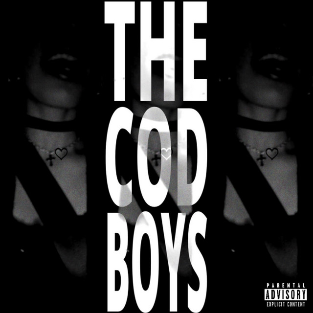THE COD BOYS cover art